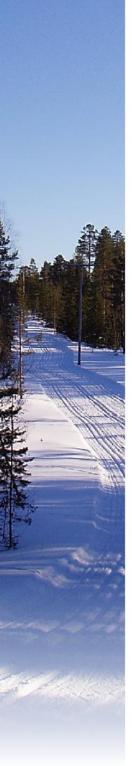 tracks at Grönklitt, Sweden by Alistair Brown